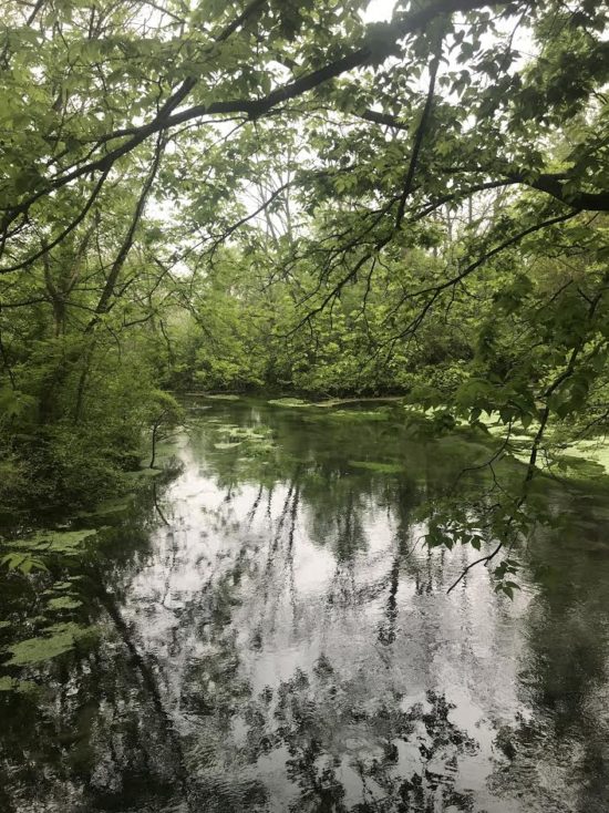 Resources & Partners Creek Watershed Association